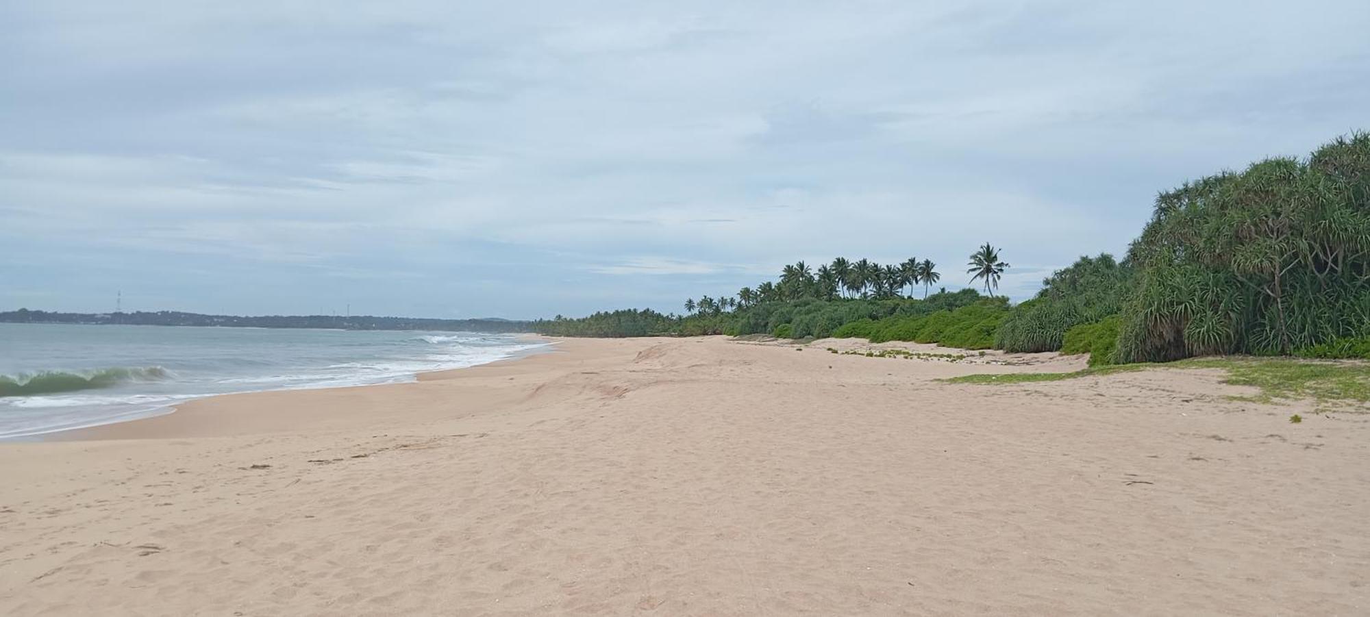 Lions Villa - Marakolliya Tangalle Dış mekan fotoğraf