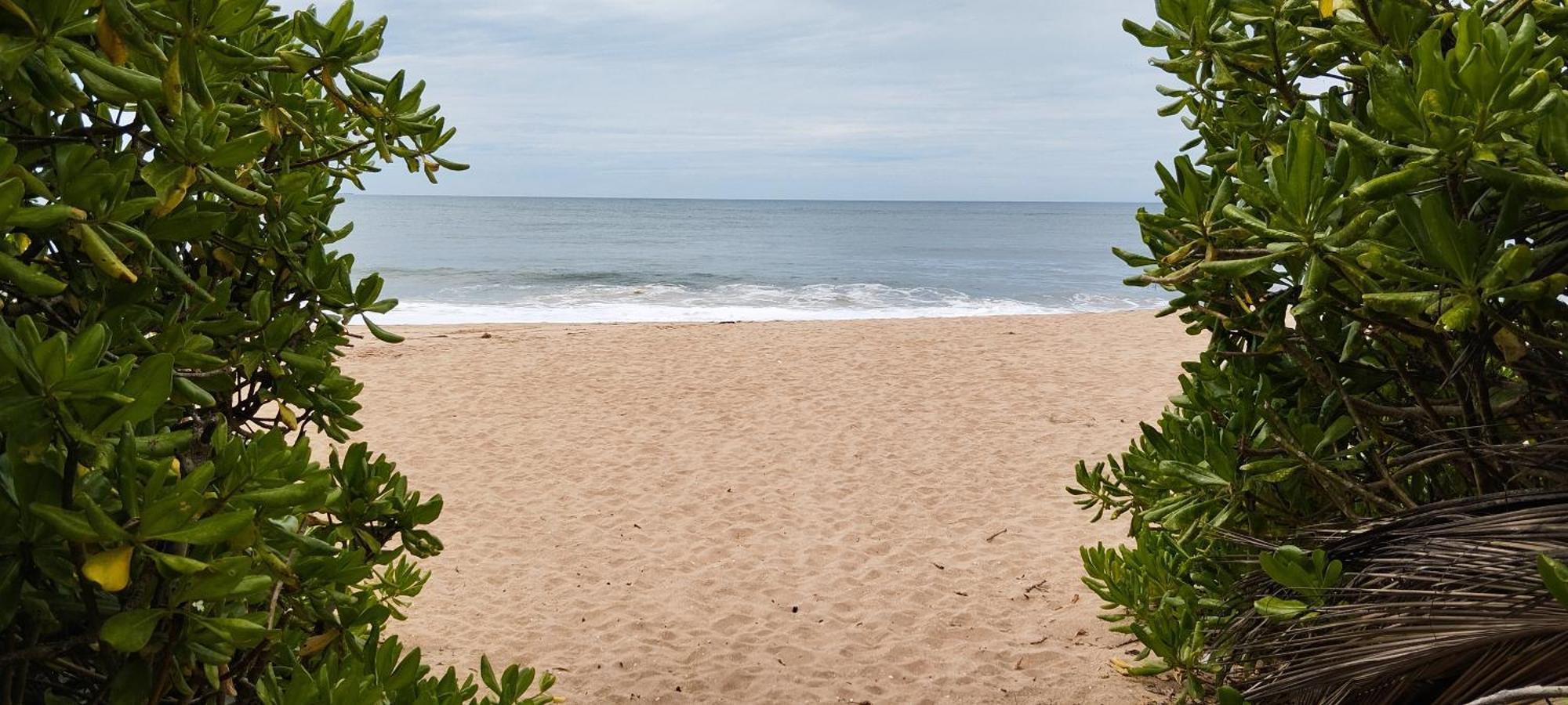 Lions Villa - Marakolliya Tangalle Dış mekan fotoğraf