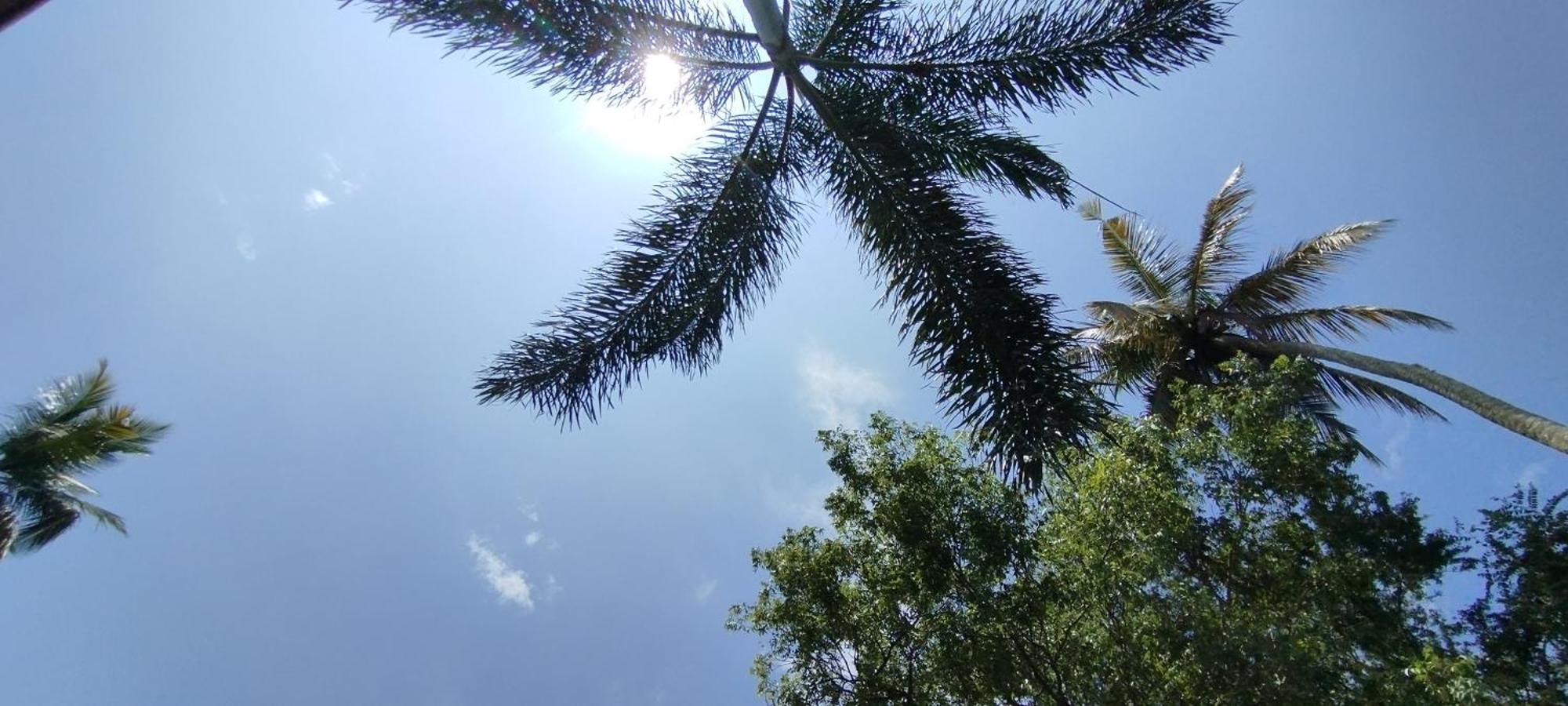 Lions Villa - Marakolliya Tangalle Dış mekan fotoğraf