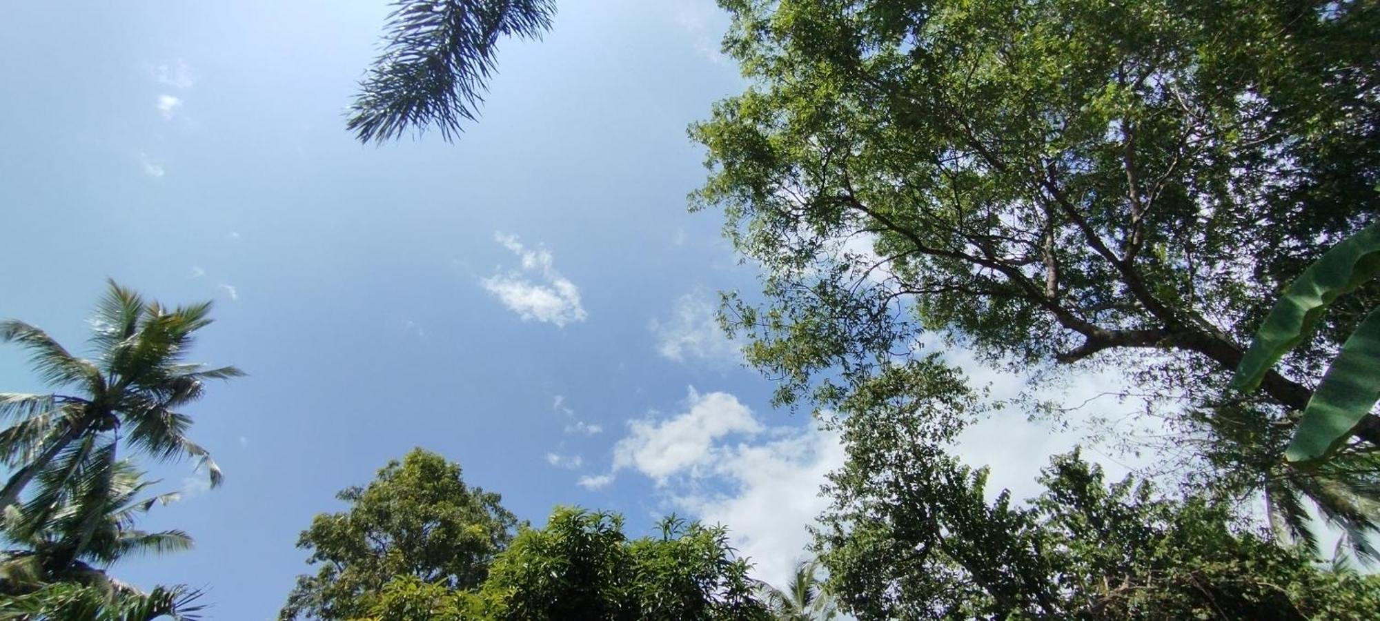 Lions Villa - Marakolliya Tangalle Dış mekan fotoğraf