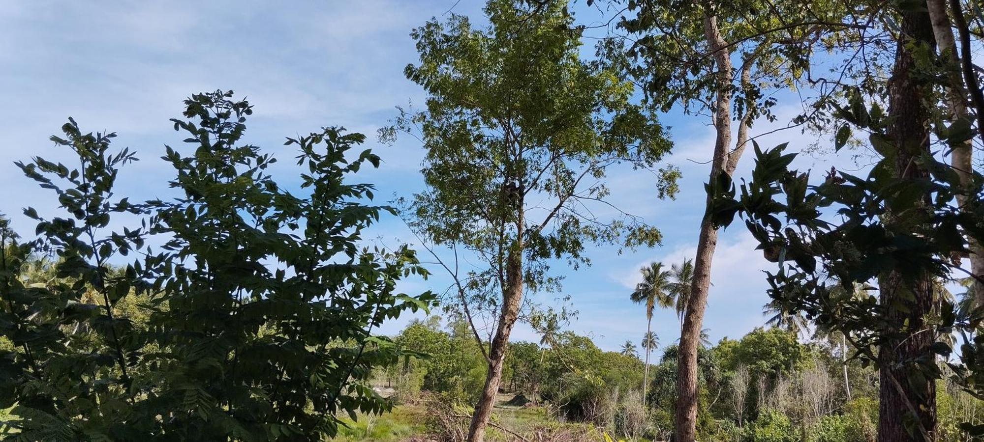 Lions Villa - Marakolliya Tangalle Dış mekan fotoğraf